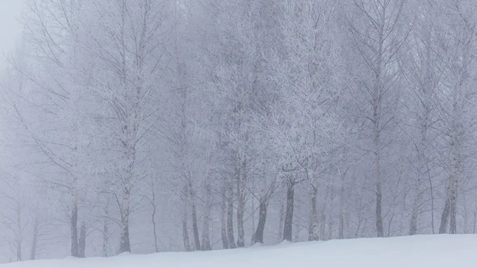 7 ақпанға арналған ауа райы болжамы жарияланды