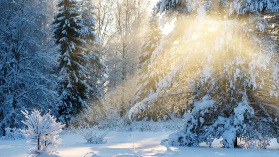 8 ақпанға арналған ауа райы болжамы жарияланды