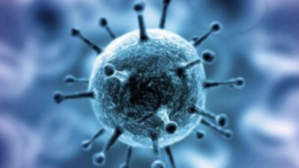 Короновирус қайта өрши ме? ДСМ 5 адамнан вирус анықтапты