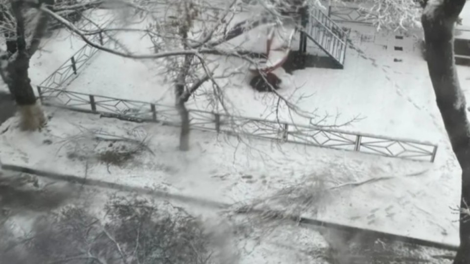 Үстіне ағаш құлап көз жұмған бала. Оқиғаға қатысты тың деректер шықты