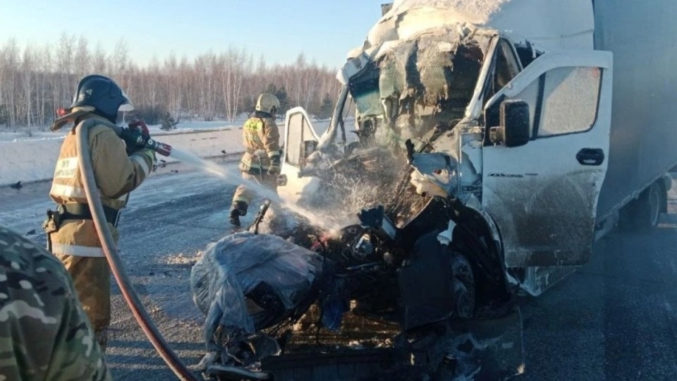 Ақмола облысындағы жол апаты. Жүргізуші көліктің ішінде қысылып қалды