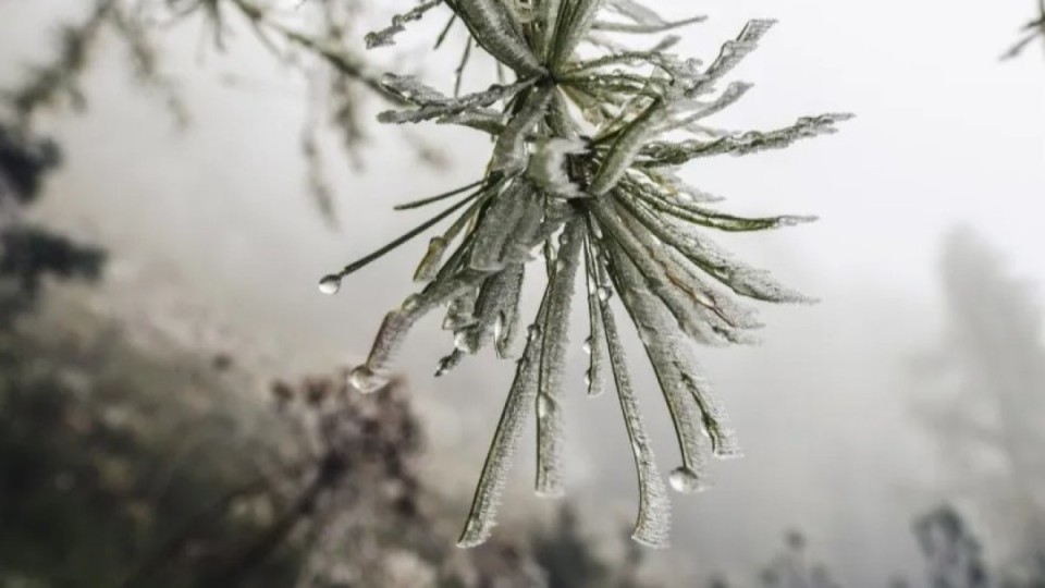 14 ақпанға арналған ауа райы болжамы жарияланды