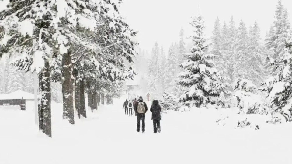 15 ақпанға арналған ауа райы болжамы жарияланды