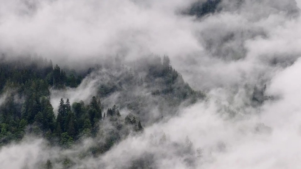 20 ақпанға арналған ауа райы болжамы