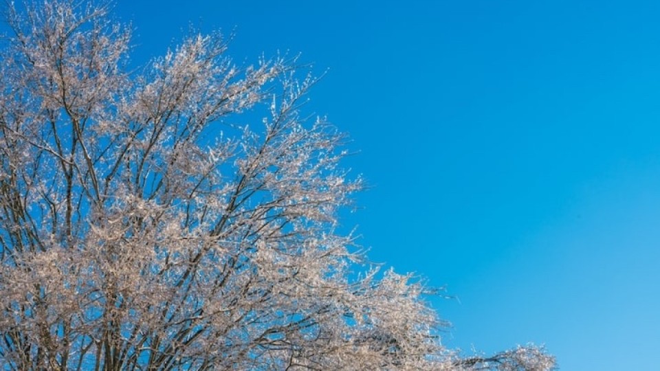 22 ақпанда Қазақстанда боран мен көктайғақ күтіледі