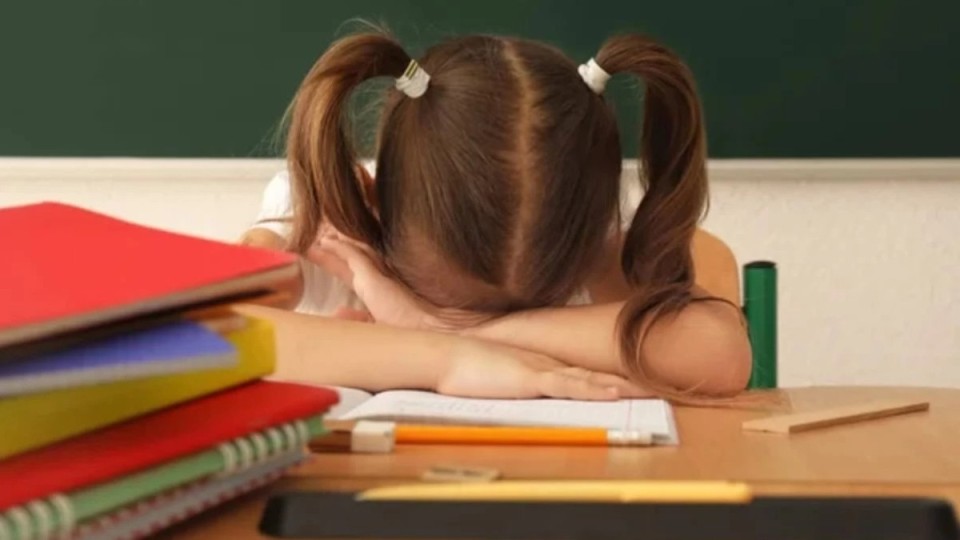 "Аузыма қатты нәрсе тиді": Шымкентте мектеп мұғалімі 7 жастағы оқушыға азғындық жасады деген күдікке ілінді