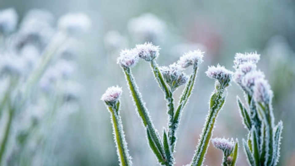17 наурызда ауа райына байланысты ескерту жасалды