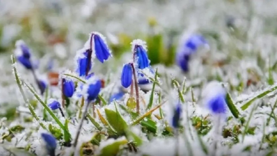 Синоптиктер ертең ауа райы қандай болатынын ескертті