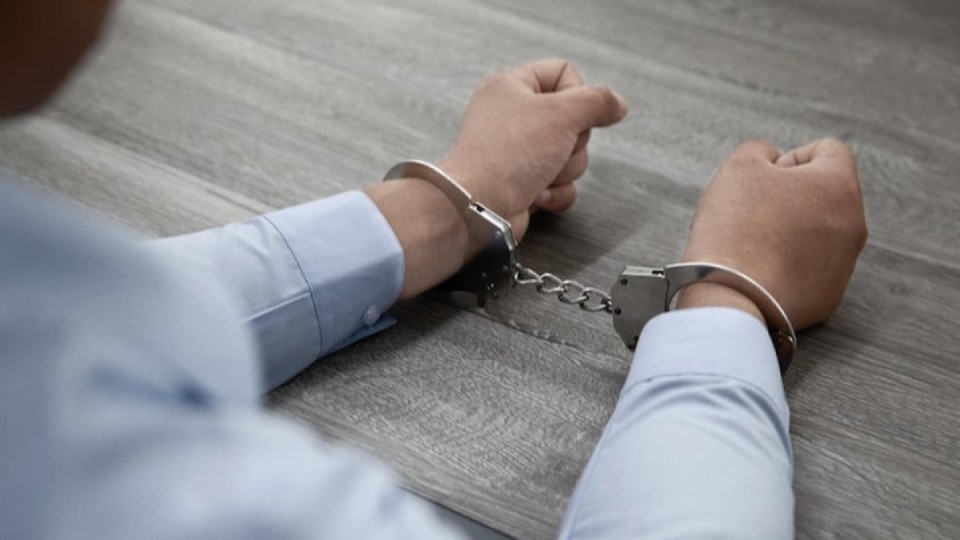 Ветеринариядағы ірі жемқорлық: Түркістанда 4 лауазымды тұлға қамауға алынды