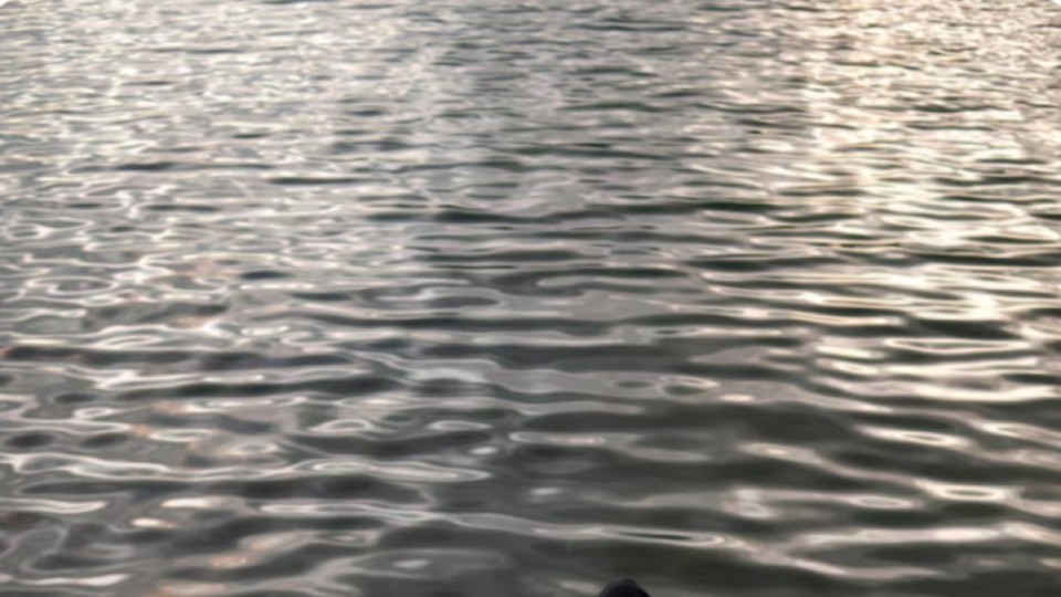 Түркістан облысында өзенге батқан сәбидің денесі табылды