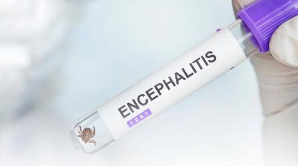 Қазақстанда 478 адамды кене шақты: дәрігерлер ескерту жасады