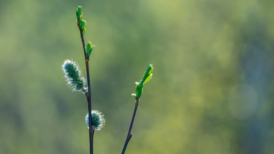 Қазақстанның 14 облысы мен Алматыда дауылды ескерту жарияланды