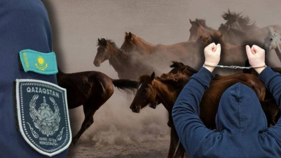 Мың бас малды заңсыз шекара асырмақ болған топ ұсталды