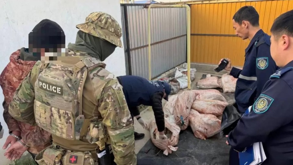 Атырауда 4 тоннадан астам заңсыз балық өнімі тәркіленді