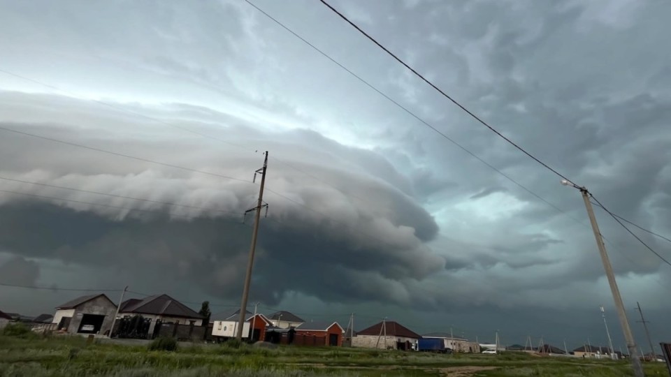 Ақтөбеде алапат дауыл салдарынан ағаштар құлап, жарық сөнді