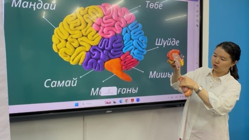 Маңғыстаулық психологтар «Жастар EQ 3.0 & Mental Health» жобасы аясында  «Нейропсихология» модулін сәтті аяқтады