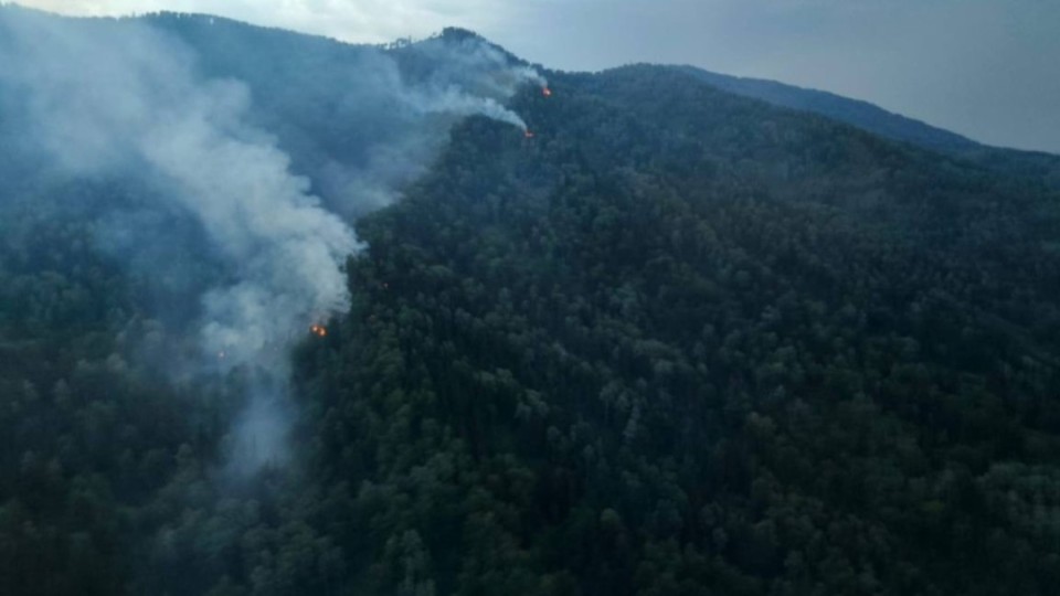 Бүгін найзағайдан тұтанған 19 орман өрті сөндірілді