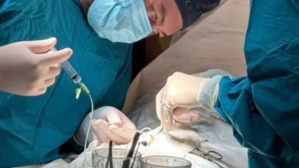 Қазақстанда операциядан кейінгі жаңа туған нәрестелер өлімі үш есе азайды