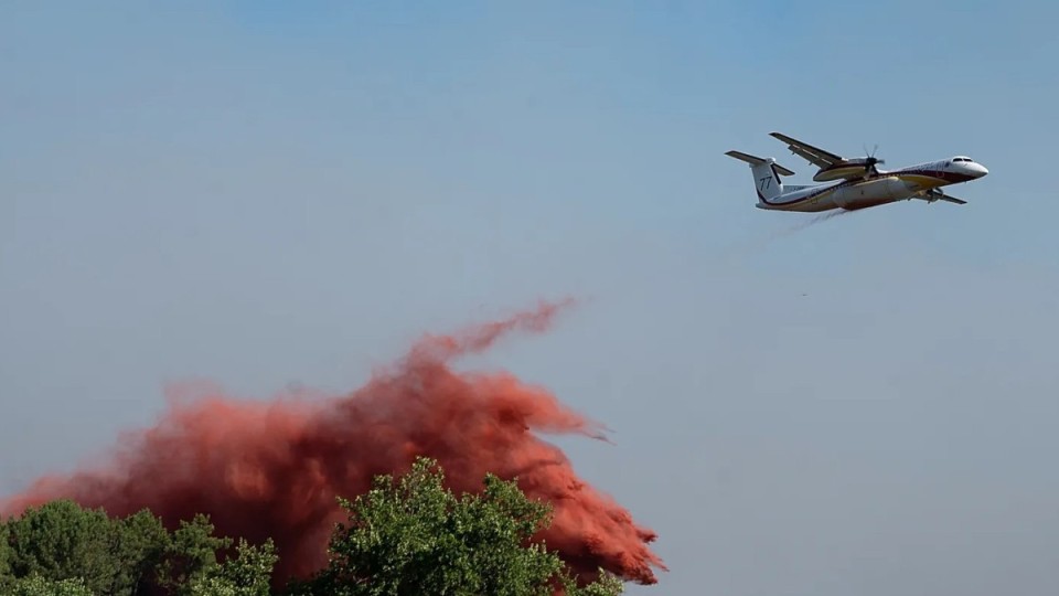 Орман өрттеріне байланысты 400-ден астам адам ұсталды
