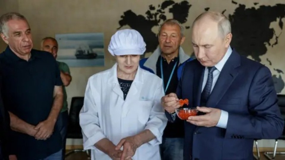 Путиннің Куриль аралдарына алғаш сапары Жапонияның қатаң наразылығын тудырды