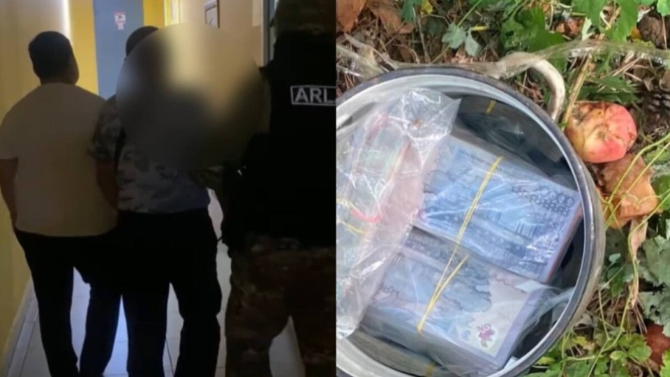 Павлодарда алма ағашының түбінен 24 млн теңге жасырылған ыдыс табылды