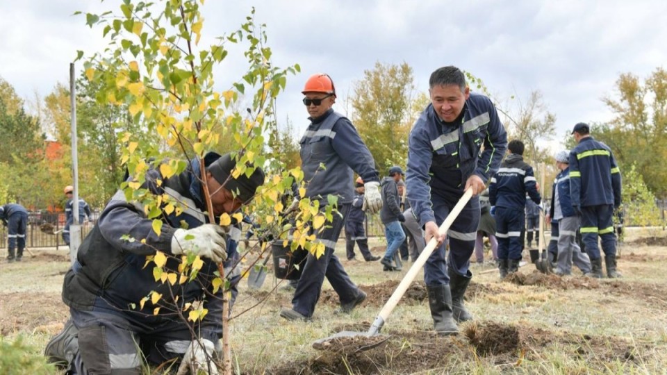 Қазақмыс жұмыскерлердің бастамасына қолдау көрсетті: Қарағайлыда 400 түп ағаш отырғызылды