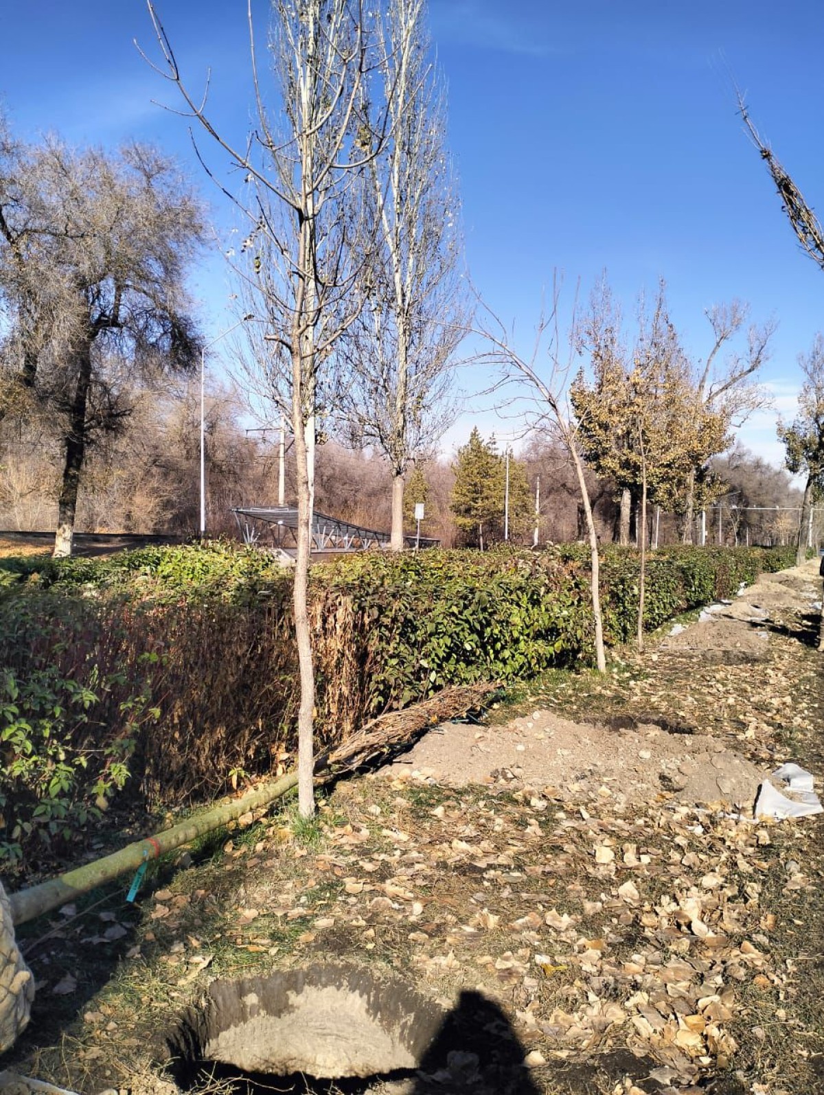 © Алматы қаласының әкімдігі / Түрксіб ауданы