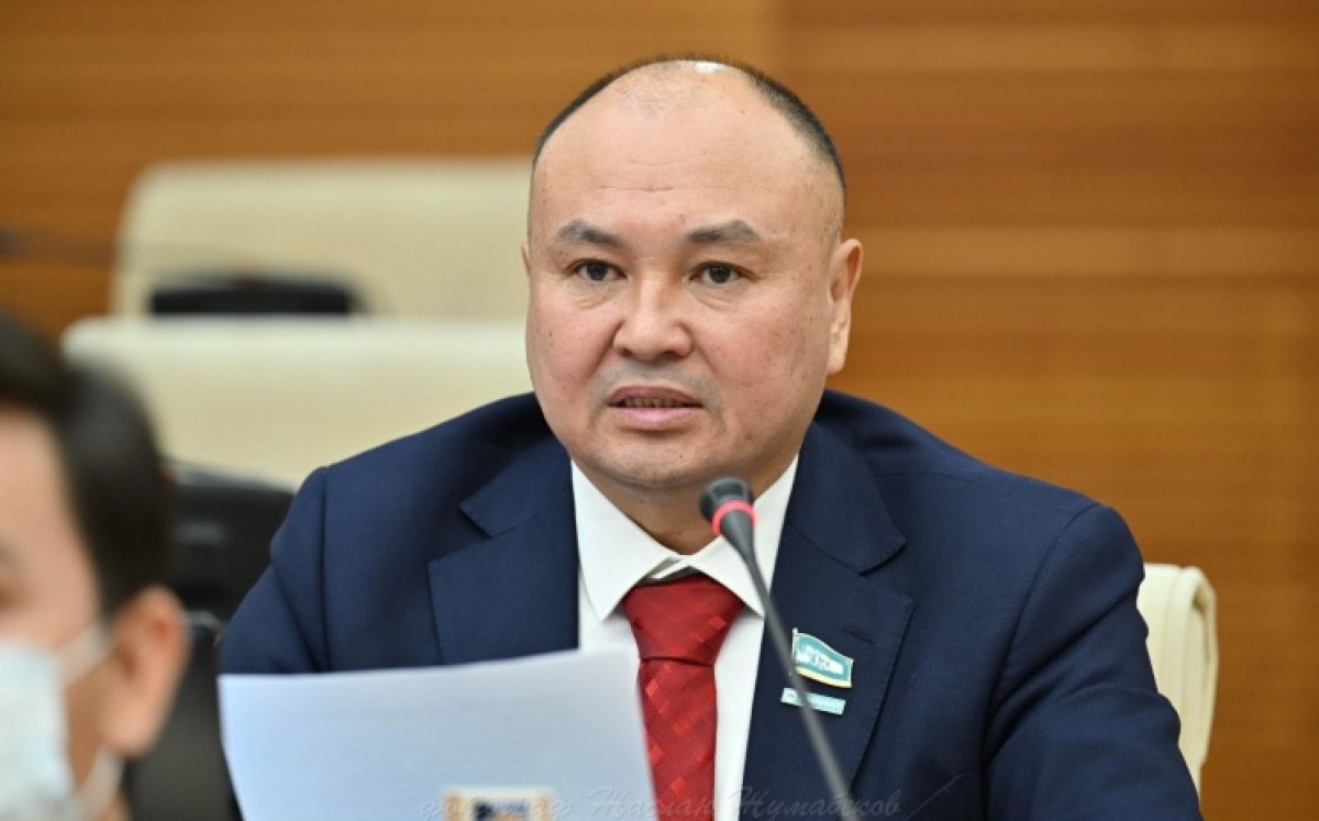 Ал мәжіліс депутаты Ерлан Саиров болса, Президенттің бүгінгі Үкімет отырысында айтқан сын-пікірі — реформаның неліктен кезек күттірмейтін стратегиялық қадам екенін және бюджет қаржысының тиімді жұмсалуын қалай қамтамасыз ететінін көрсетеді дейді.